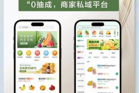 做农产品电商平台有哪些 农产品在哪个电商平台销售比较好