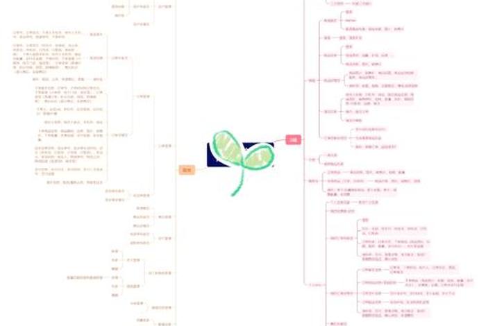 电商商城搭建（电商商城搭建流程）