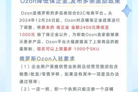 ozon入驻官网平台（ozon入驻官网平台条件）