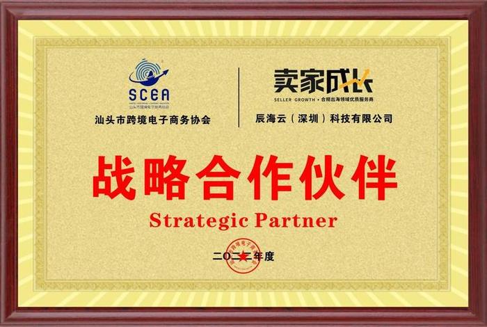 电商合作伙伴是什么意思 电商合作伙伴是什么意思啊 电商合作伙伴是什么意思 电商合作伙伴是什么意思啊