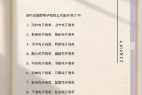 大电商名字、电商名字大全女生