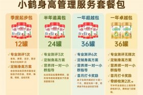 母婴电商公司 母婴电商公司简介