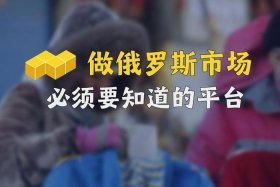 俄罗斯电商平台对中国开放；俄罗斯电商平台对中国开放吗