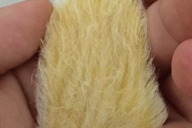 小芒电商入驻审核客服电话 小芒电商入驻审核客服电话号码