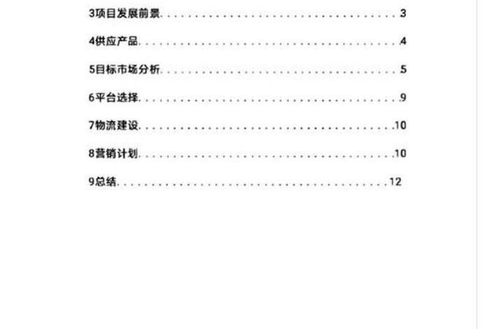 农村电商创业计划书；农村电商创业计划书word