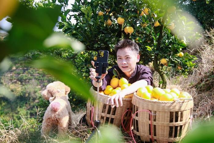 农业电商-新新农人-;农业电商-新新农人-- 农业电商-新新农人-;农业电商-新新农人--