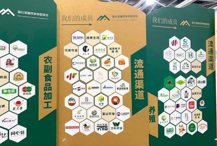 打造电商平台杭州民营品牌专区,杭州有哪些电商平台类公司 打造电商平台杭州民营品牌专区,杭州有哪些电商平台类公司