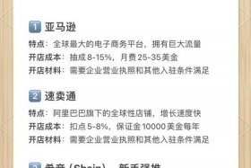 2012电商平台大战 - 2012年的电商平台