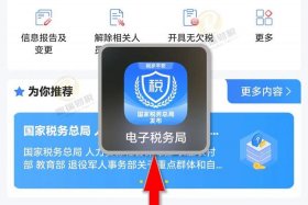 怎样注册电子税务局账号 - 怎样注册电子税务局账号信息