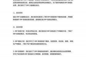 思睿智训跨境电商erp沙盒实验报告（跨境电商综合实训平台erp沙盒实训报告）