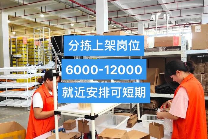 网红电商仓库运营模式,网红电商仓库运营模式有哪些 网红电商仓库运营模式,网红电商仓库运营模式有哪些