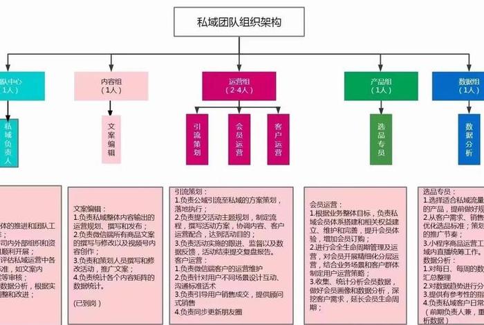 电商运营团队职级体系；电商运营团队组织架构