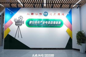 直播电商平台创业孵化基地、直播电商平台创业孵化基地有哪些
