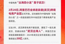 武汉电商平台研发政策 - 武汉电商平台研发政策有哪些
