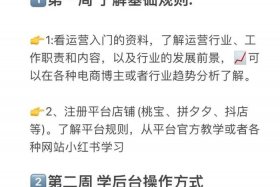 电商入门教程（电商入门教程电子版）