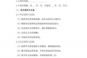 电商平台建设项目合作协议（电商平台建设项目合作协议书）