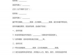 电商运营公司合作 - 电商运营公司合作协议