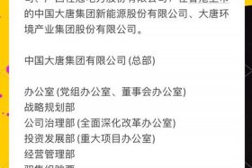 大唐电商采购平台和水利电力集团、大唐集团电子商务采购平台