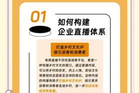 电商 直播 省级 国家级 - 2020国家直播电商政策