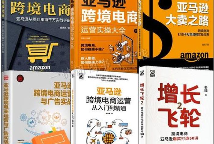 电商运营实战 电商运营实战手册