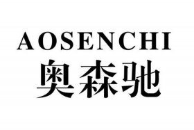 奥森电商（奥森电子商务有限公司）