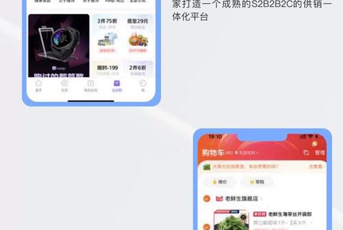 专业分销电商平台 - 专业分销电商平台怎么做