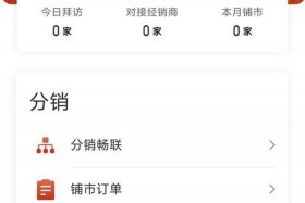 分销电商app有哪些（分销电商app有哪些平台）