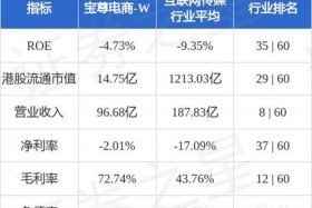 宝尊电商ipo（宝尊电商代运营）