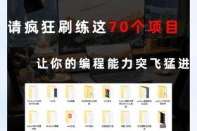 什么电商项目比较挣钱（什么电商项目比较挣钱多）