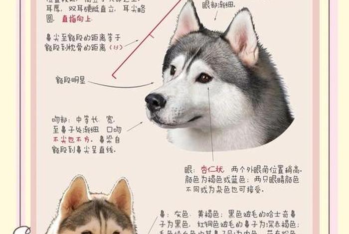 哈士奇电商插件安装教程、哈士奇电商插件安装教程图解 哈士奇电商插件安装教程、哈士奇电商插件安装教程图解