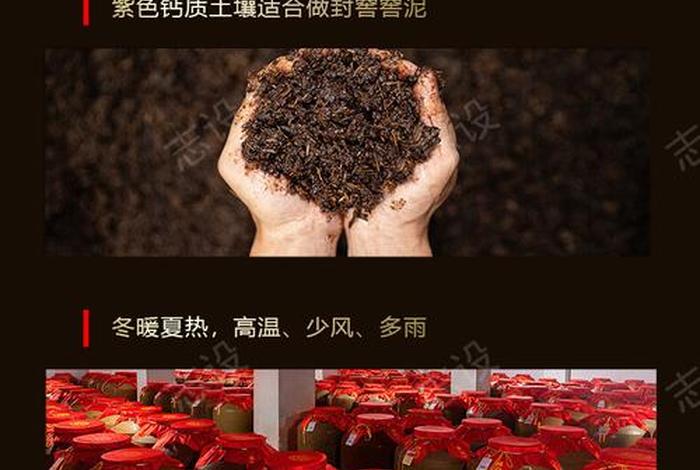 白酒电商设计模板,白酒电商设计模板怎么写 白酒电商设计模板,白酒电商设计模板怎么写