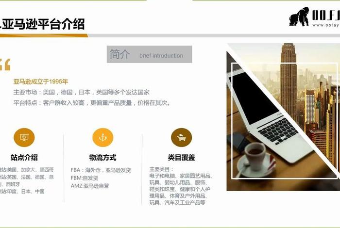 跨境电商亚马逊平台 - 跨境电商亚马逊平台的特点