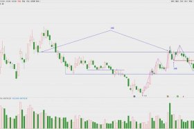 南极电商股票走势，南极电商股票走势图