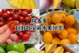 如何加入水果产地直销；如何加入水果产地直销公司