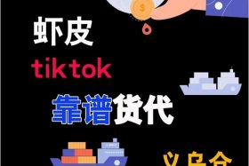 东南亚跨境电商货代，东南亚跨境电商代运营