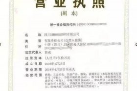 电商公司经营范围图片 - 电商公司经营范围图片大全