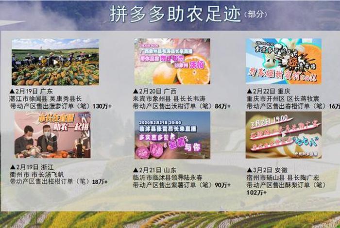 拼多多新电商开创者网页步骤(拼多多新电商开创者开店用营业执照吗) 拼多多新电商开创者网页步骤(拼多多新电商开创者开店用营业执照吗)