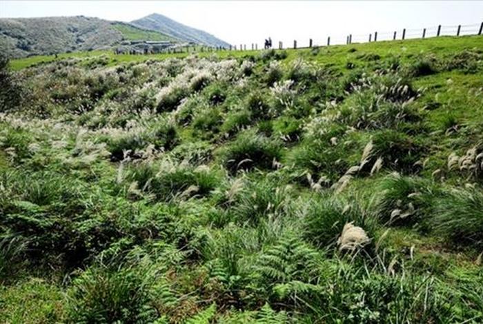 武义冷水坑电商;武义冷水坑电商招聘 武义冷水坑电商;武义冷水坑电商招聘