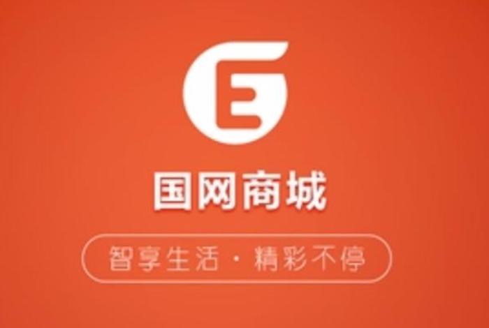 电商网站中国，中国网络商城