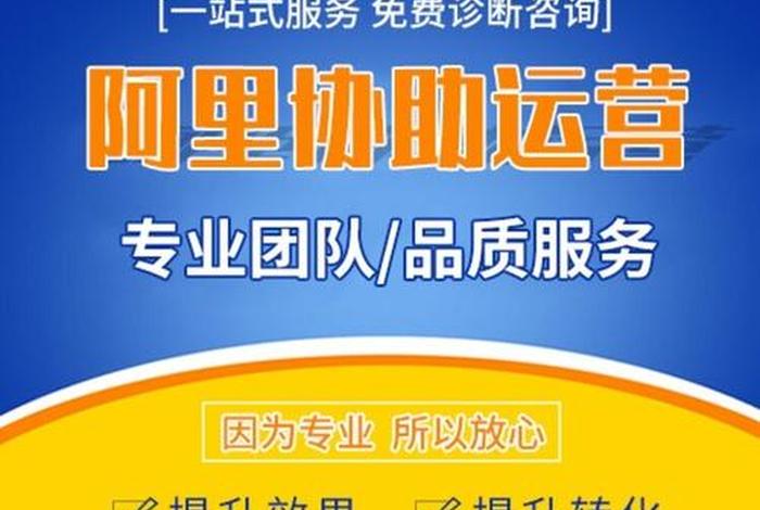 电商运营推广公司 电商运营推广公司简介