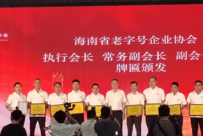 海南省跨境电商协会 - 海南省跨境电商协会 名誉会长 海南省跨境电商协会 - 海南省跨境电商协会 名誉会长