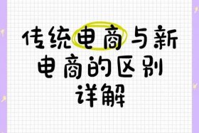传统电商是什么意思；什么叫传统电商
