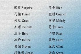 电商公司名称、电商公司名称怎么起名意欲招财