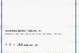 加电商标、加电商标转让