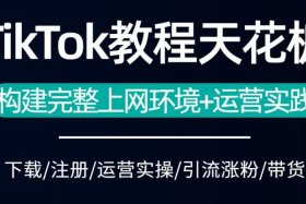 tk电商运营 tiktok跨境电商代运营