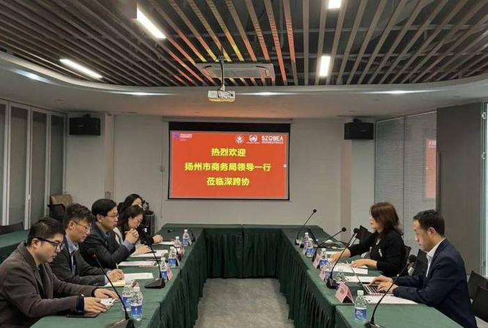 江苏电商协会广州分会杨洲先生简介，扬州电子商务协会