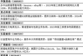 出口跨境电商代表企业有哪些 - 出口跨境电商代表企业有哪些公司