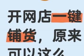 高效电商铺货软件 电商铺货哪个软件好