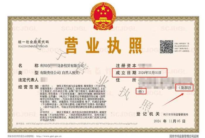 跨境电商营业执照注册 - 跨境电商营业执照注册号 跨境电商营业执照注册 - 跨境电商营业执照注册号