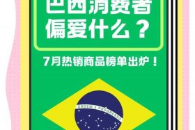 巴西电商怎么做 - 巴西网购主要有什么平台